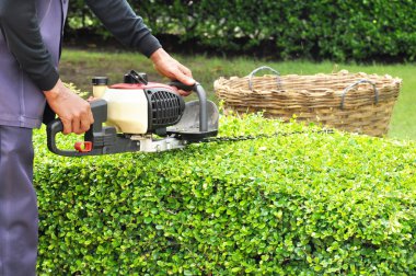 bir bahçıvan kırparak hedge düzeltici makine ile