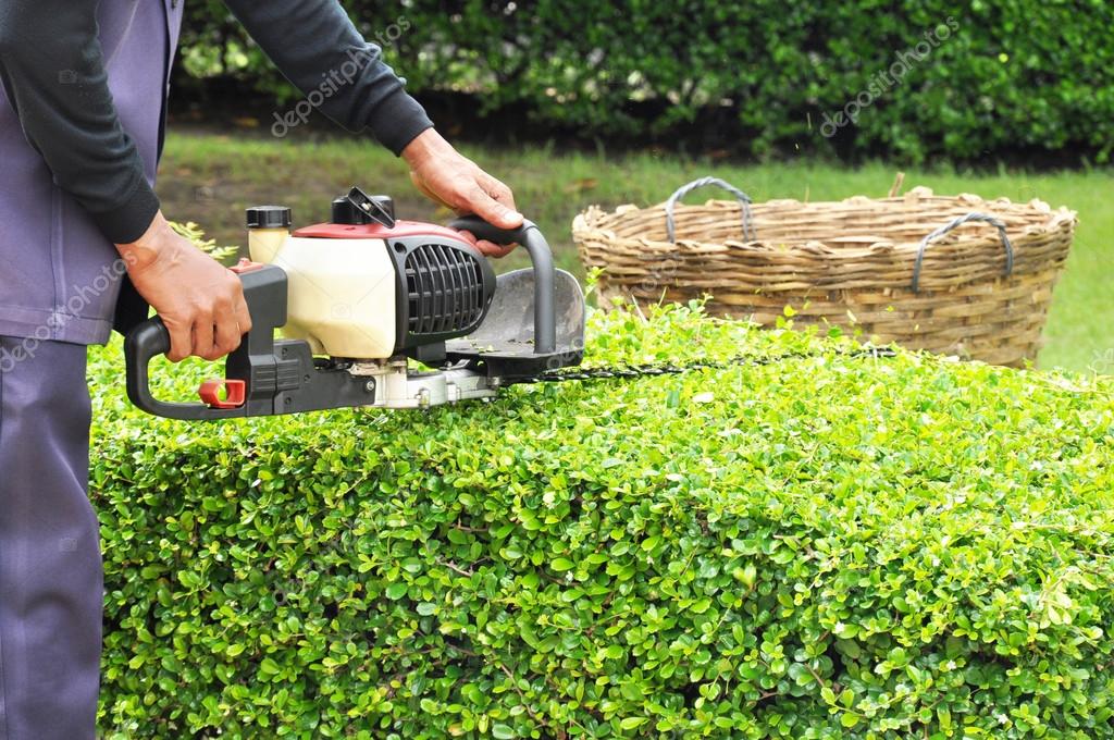 Gärtner schneidet Hecke mit Trimmer Stockfotografie lizenzfreie