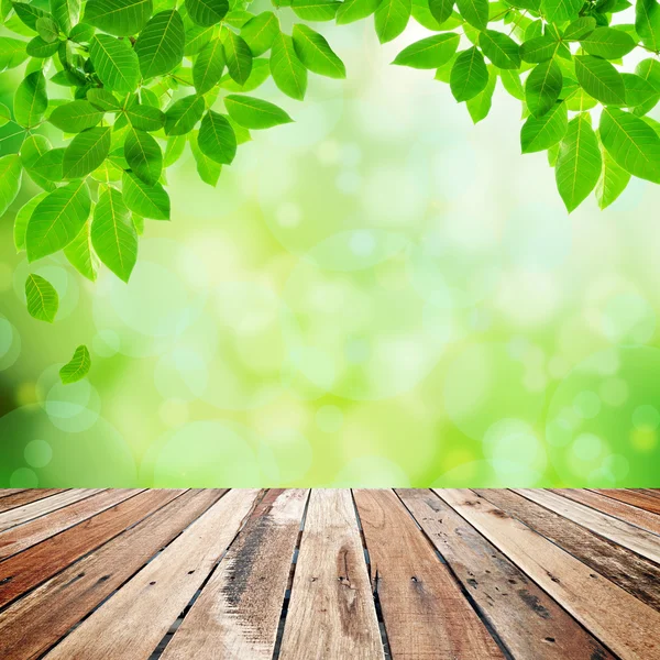 Grön naturliga abstrakt bakgrund — Stockfoto