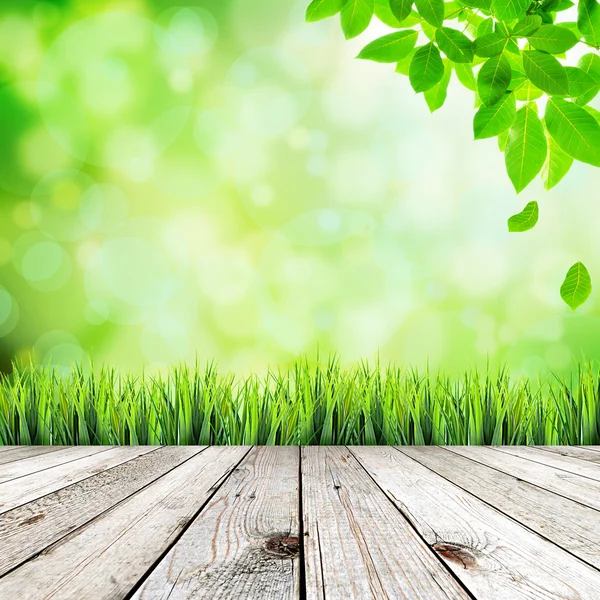 Groene natuurlijke abstracte achtergrond — Stockfoto