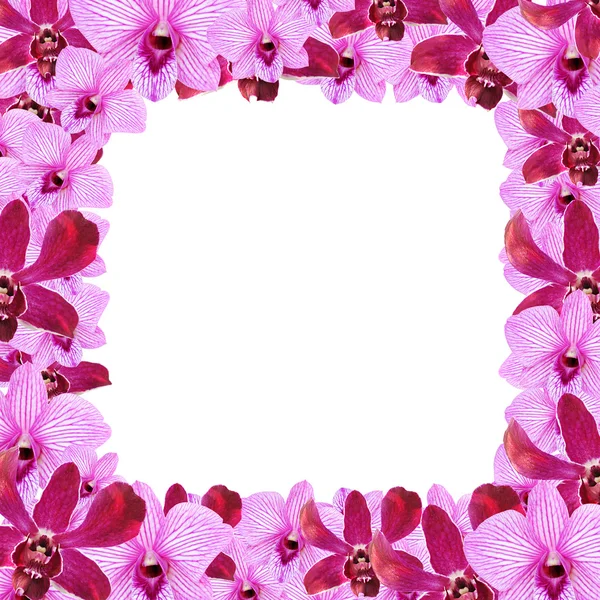 photo Purple Flower Border Design purple flower border design images