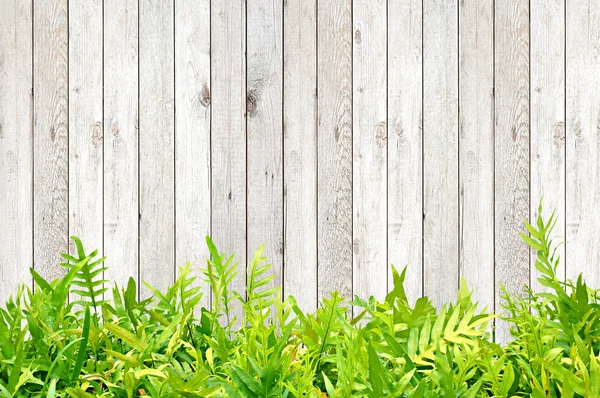 Hojas de helecho sobre fondo de madera —  Fotos de Stock