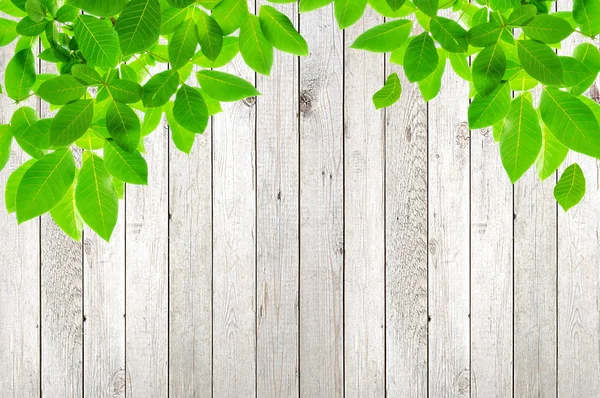 Green leaves on wood background — Stock Photo, Image