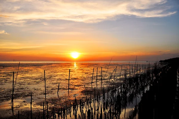 Zonsondergang uitzicht vanaf de wetland Zeekust — Stockfoto