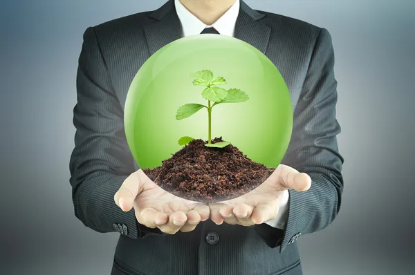 Businessman holding green sapling with soil inside the sphere — Stock Photo, Image