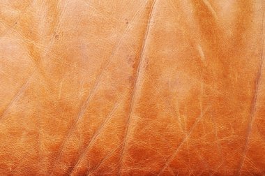 eski kahverengi deri dokusu