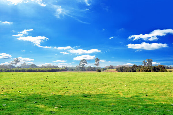 Beautiful field in blue sky background