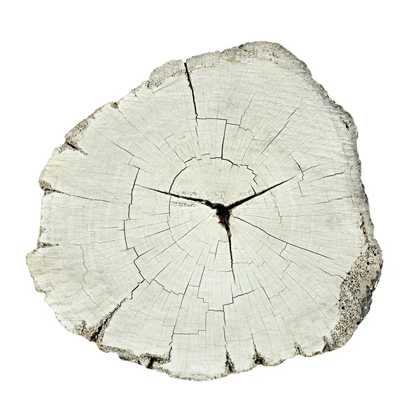 Old tree stump - top view — Stock Photo, Image