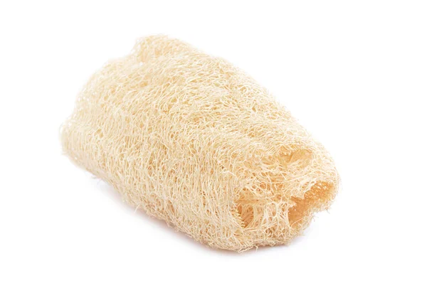 丝瓜-身体擦洗的天然纤维 — 图库照片