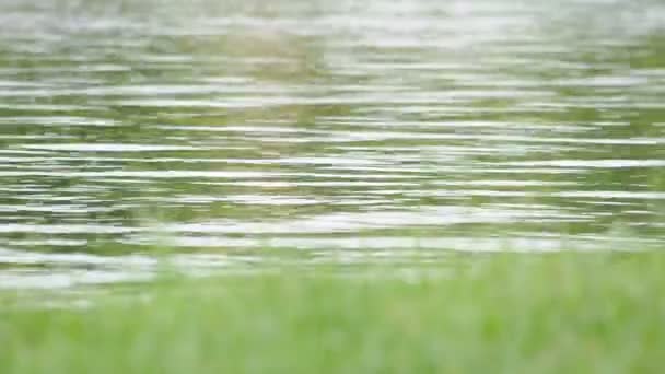 Aguas onduladas en el río — Vídeos de Stock