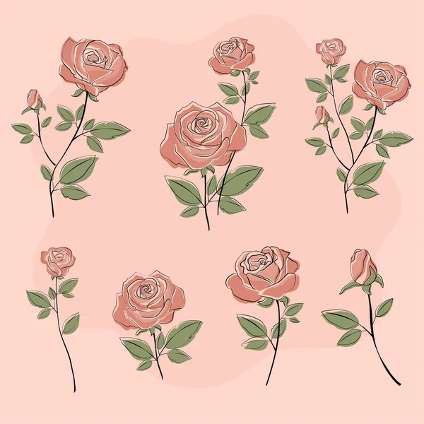 Beautiful Pastel Pink Rose Vector Icon Collection — Stock Vector