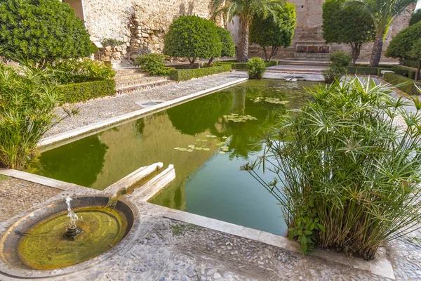 Gardens and fountains of La Alcazaba — Stock Photo, Image
