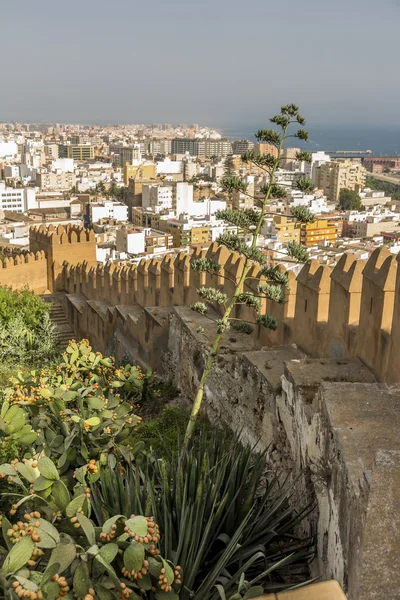 Kertek és szökőkutak La Alcazaba Stock Fotó