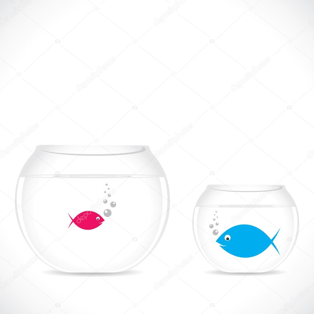 Taschengeldboerse haifischbecken