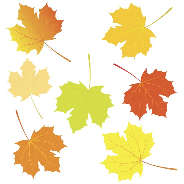 Folhas de bordo de outono. Ilustração vetorial — Vetor de Stock
