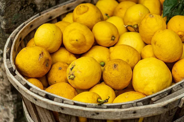 Reife Zitronen Einem Großen Korb — Stockfoto