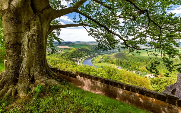Sakson İsviçre, Almanya 'daki Knigstein Kalesi. Kale duvarından bak