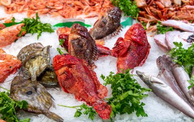 Balık Pazarı. Buz pazarında çeşitli deniz balıkları var.