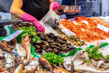 İspanya 'da balık pazarı. Akdeniz balığı ve deniz ürünleriyle dolu bir tezgah. Köpekbalığı.