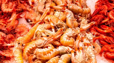 İspanya 'da balık pazarı. Deniz ürünleri tezgahı. Karides.