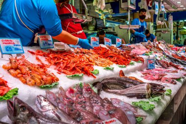 Balık pazarı. Akdeniz mahsulü ve balıklı buzhane..