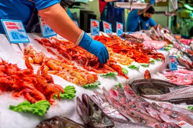 Balık pazarı. Akdeniz mahsulü ve balıklı buzhane..