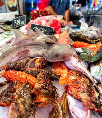 İspanya 'da balık pazarı. Akdeniz balığı ve deniz ürünleriyle dolu bir tezgah. Köpekbalığı.