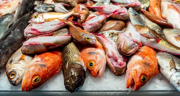 カウンターに並べられた新鮮な地中海魚は — ストック写真
