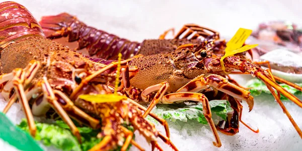 Mercado Pescado Langosta Marina Mostrador Hielo — Foto de Stock