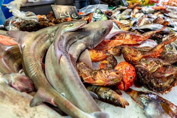 スペインの魚市場 地中海の魚や魚介類とカウンター — ストック写真