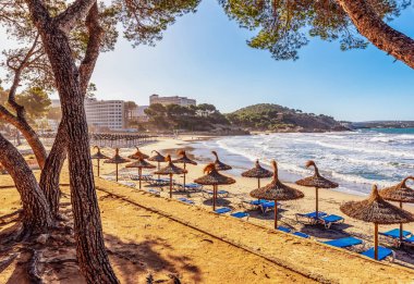 Güneşli manzaralı, ıssız bir sabah sahili. Platja Gran de Tor
