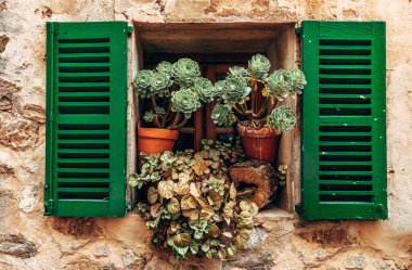Saksı çiçekleriyle süslenmiş yeşil panjurlu pencere.