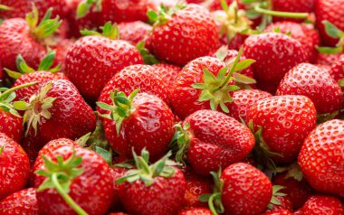 Yeşil sepalli olgun çilekler. Arkaplan