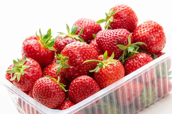 Reife Erdbeeren Einer Plastikbox Isolate Auf Weißem Hintergrund — Stockfoto