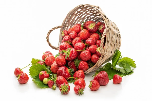 Fresas Una Canasta Mimbre Aislar Sobre Fondo Blanco — Foto de Stock