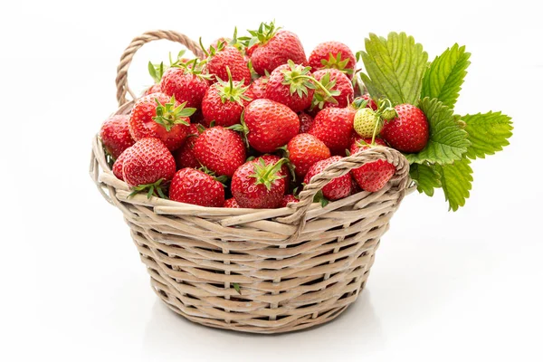 Reife Erdbeeren Einem Korb Auf Weißem Hintergrund — Stockfoto