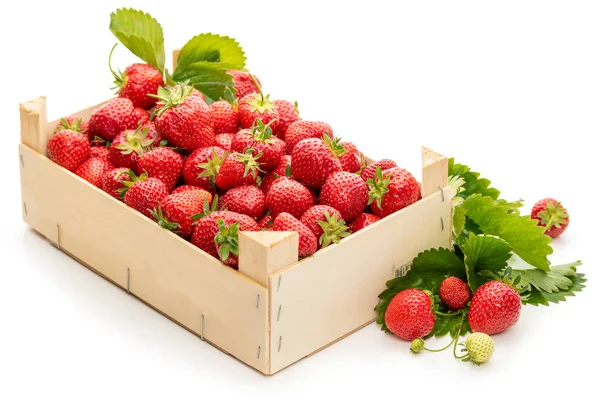 Erdbeeren Einer Holzkiste Isolate Auf Weißem Hintergrund — Stockfoto