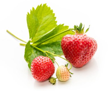 Beyaz arka planda yaprakları ve sapları olan çilekler. İzole et