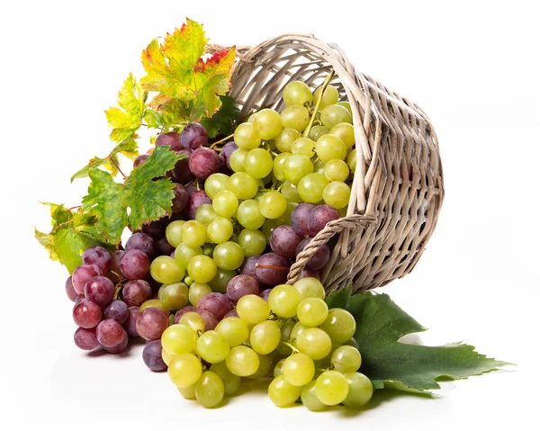Bunches White Pink Grapes Wicker Basket — стоковое фото