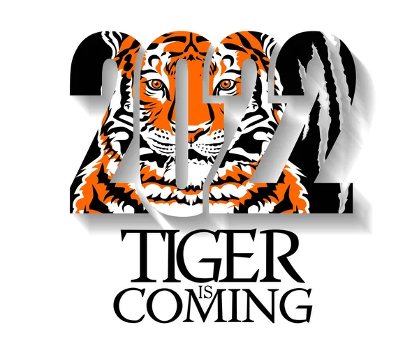 Tygr Blíží 2022 Rok Tygra Kresba Tygří Tváře Čísla 2022 — Stockový vektor