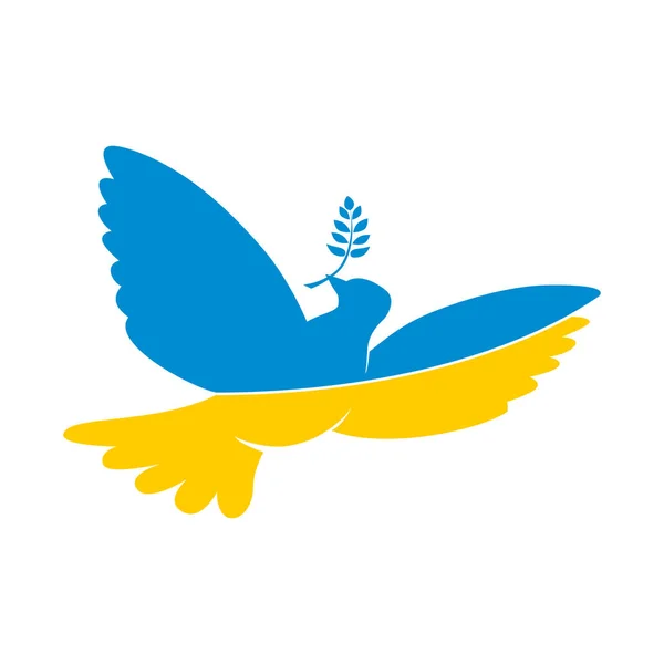 Latający Gołąb Kolorach Flagi Narodowej Ukrainy Posiada Oddział Laurowy Symbol — Wektor stockowy