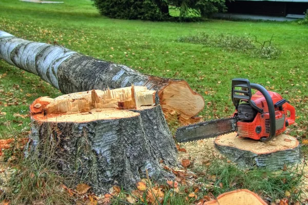 Chainsaw — Stock Photo, Image