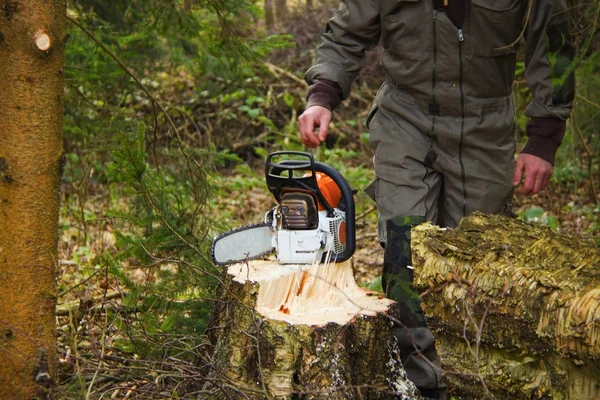 Gevaar boom kappen Stockafbeelding