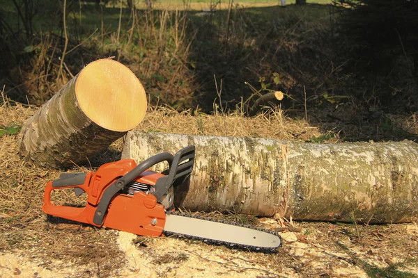 Chainsaws — Stock Photo, Image