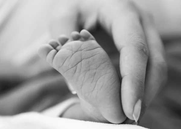 Mother holding a newborn baby foot — Stock Photo, Image