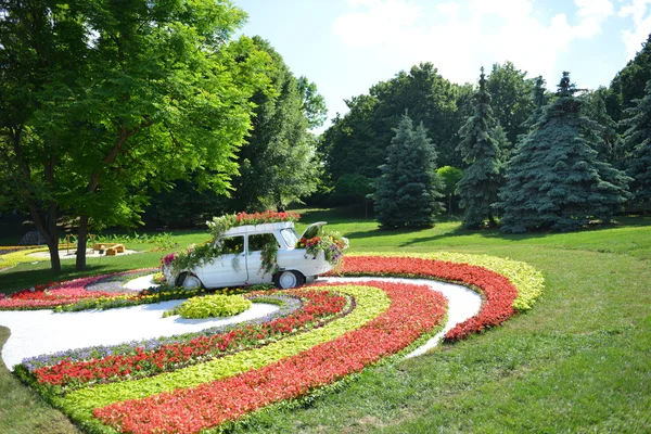 çiçek genel bir park araba