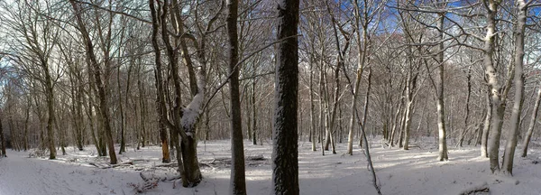 Vista Panorâmica Floresta Nevada Auvergne Puy Dome — Fotografia de Stock