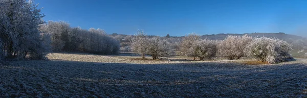Panorámás Kilátás Nyílik Vidékre Auvergne Télen Fagyott Fák Kék — Stock Fotó