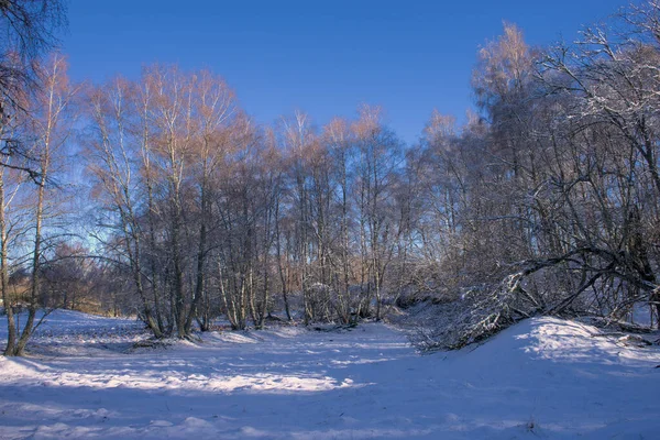 Winter Landscape Auvergne Forest Puy Des Goules Puy Dome — стокове фото