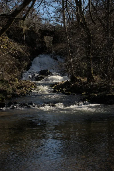 Der Fluss Sioule Fließt Zwischen Den Bäumen — Stockfoto